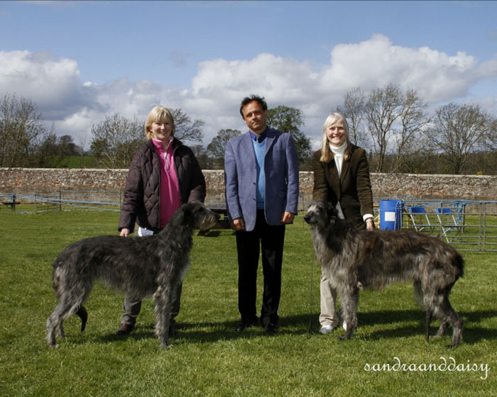 CC Winners Hound Association of Scotland 2012